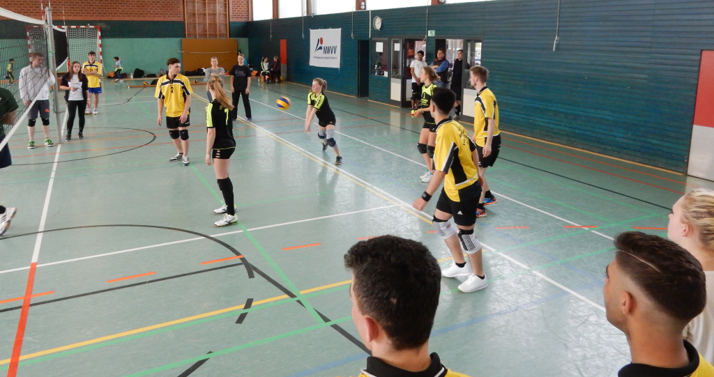 Volleygriert 3