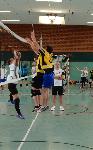 Volleygriert 2