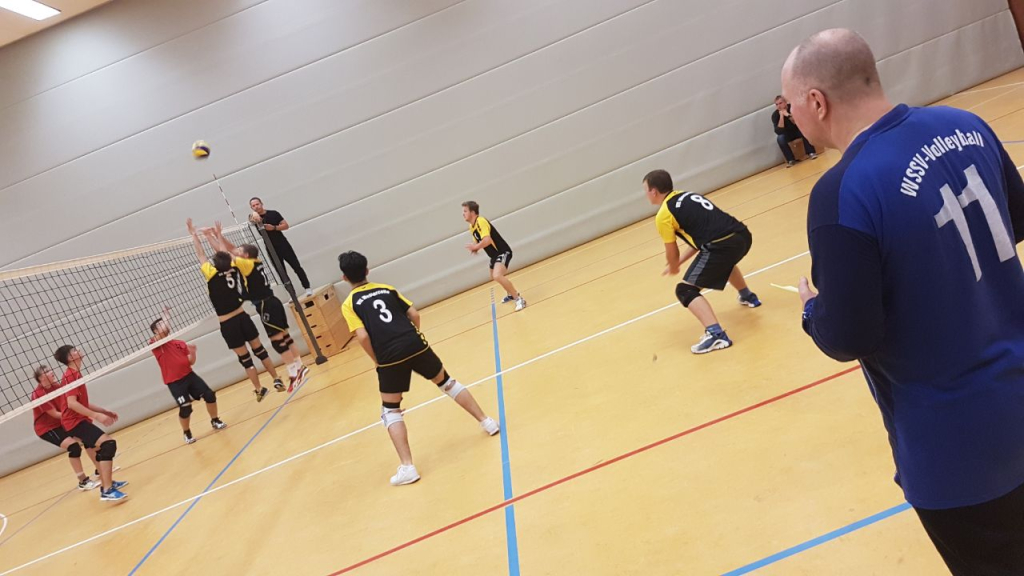 VfL Westercelle Herren Bild 2