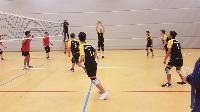VfL Westercelle Herren Bild 3