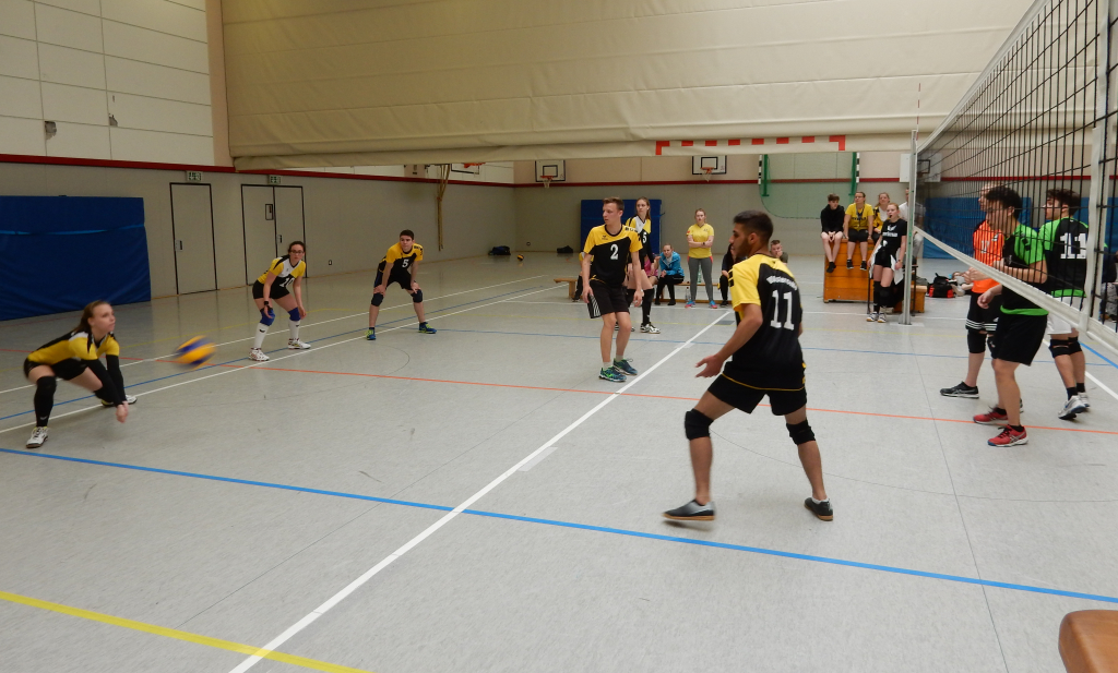VfL Westercelle I