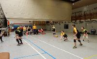 VfL Westercelle II