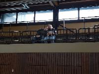 Bild Besucher